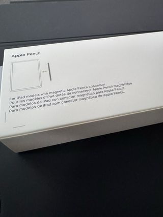 Apple Pencil 2ª Generación