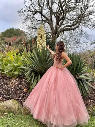 Alquiler Vestido Quinceañera Rosa