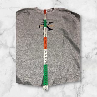 Sudadera Calvin Klein Jeans Gris Logo