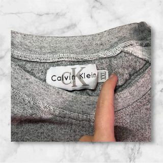 Sudadera Calvin Klein Jeans Gris Logo