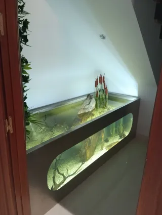 Acuario Pecera Estanque Decorado