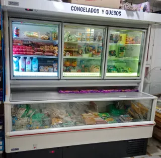 Congelador y Nevera Comercial