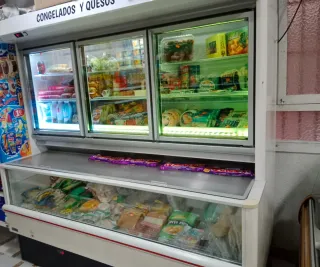 Congelador y Nevera Comercial