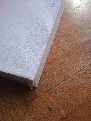 Moscú 1980, Guía de conversación para turistas