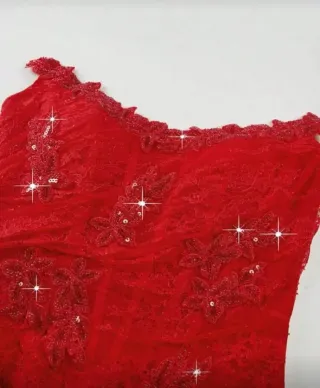 Vestido Rojo Encaje Bordado Pedrería Talla S