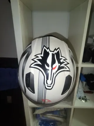 Casco Moto WILD WOLF