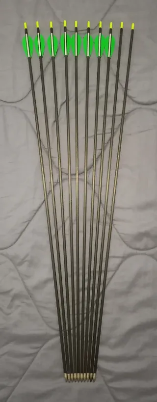 10 flechas sp1000 id4.2 tiro con arco