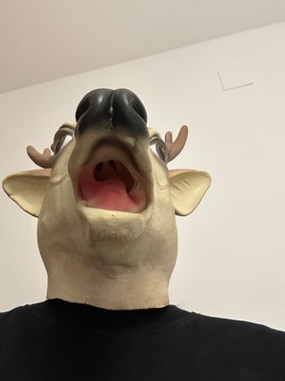 Máscara de Reno Divertida