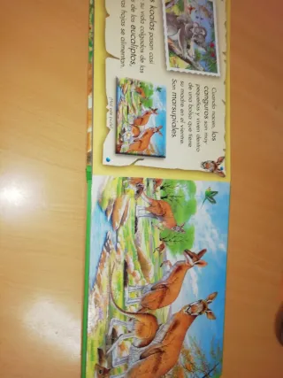 Animales salvajes