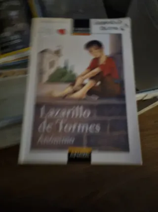 Lazarillo de tormes
