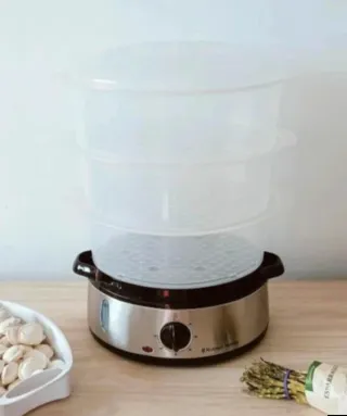 Vaporera Russell Hobbs 19270-56