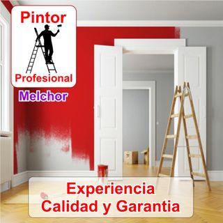 Pintor Profesional Casa Pisos Habitaciones Locales