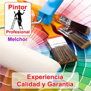 Pintor Profesional Casa Pisos Habitaciones Locales