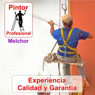 Pintor Profesional Casa Pisos Habitaciones Locales