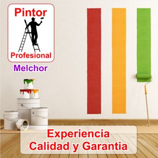 Pintor Profesional Casa Pisos Habitaciones Locales