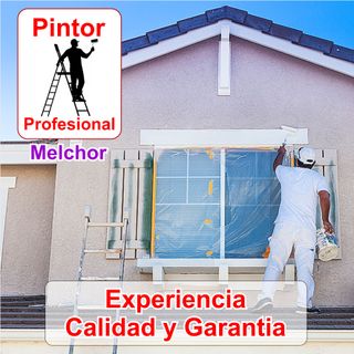 Pintor Profesional Casa Pisos Habitaciones Locales