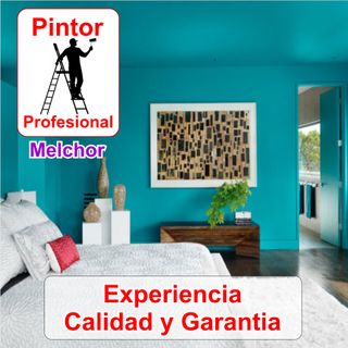 Pintor Profesional Casa Pisos Habitaciones Locales