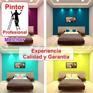 Pintor Profesional Casa Pisos Habitaciones Locales