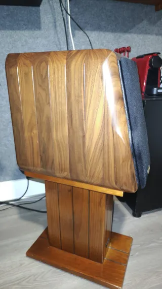 Altavoces Usher RW729