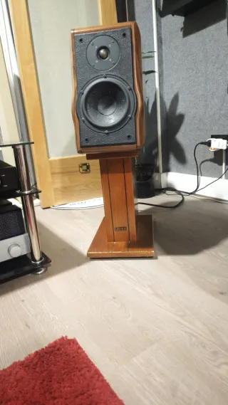 Altavoces Usher RW729