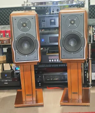 Altavoces Usher RW729