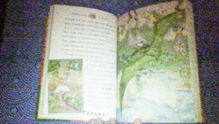 Geronimo Stilton Viaje en el tiempo Libro