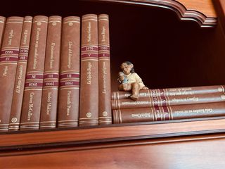 Collezione Libri Classici Contemporanei