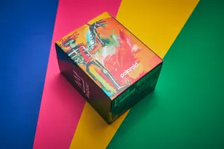 Polaroid Now 2 BASQUIAT EDICION RARO Camara