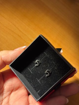Pendientes de delfín plateados