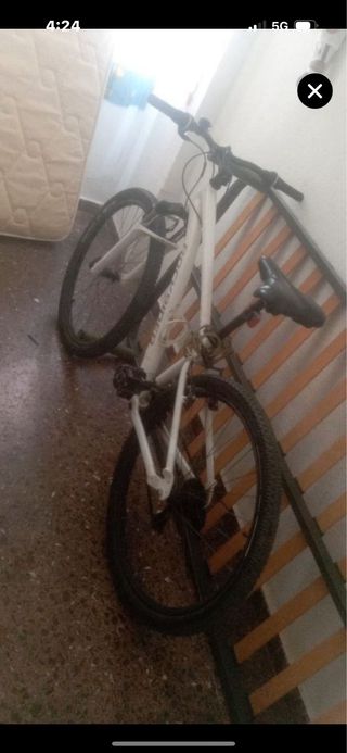 Bicicleta Blanca