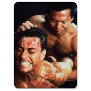 DOBLE IMPACTO (Acción, Artes Marciales)