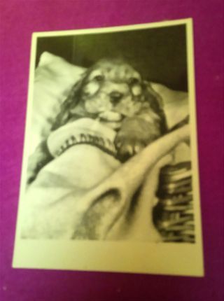 LOTE: "6 POSTALI VINTAGE". ANNI '80.