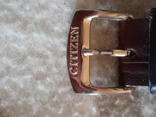 Orologio Citizen Eco-Drive Oro Bianco