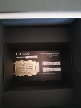 Orologio Citizen Eco-Drive Oro Bianco