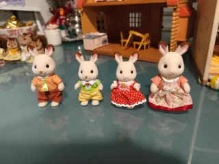 Set vari Sylvanian family