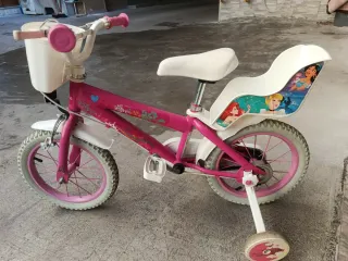 Bici bambina principesse 14 con rotelle