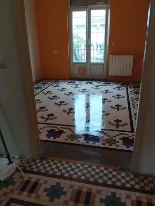 Pulidos y tratamiento de suelos