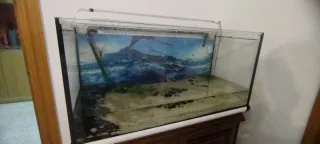 Vendo aquario con filtro 180litros,con decoracion