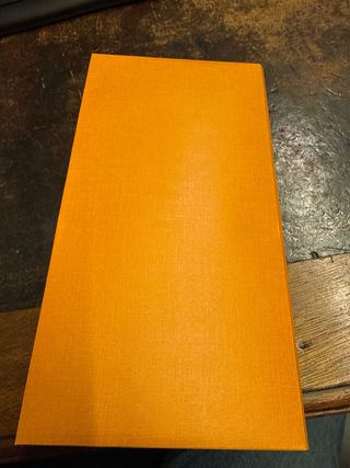 Busta Louis Vuitton Arancione