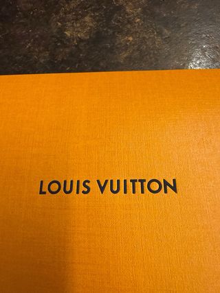 Busta Louis Vuitton Arancione