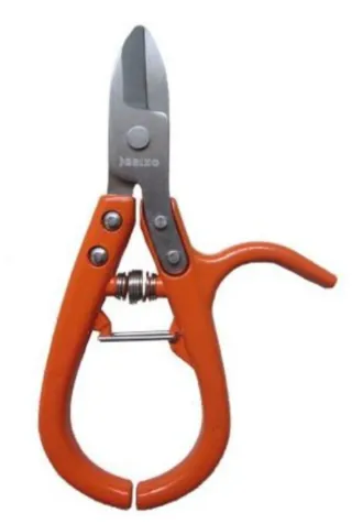 Tijera Cortanaranjas Forjada Brixo 5.5