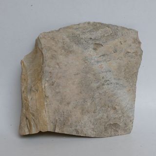 minerali PIETRA PAESINA WONDERSTONE (P1)