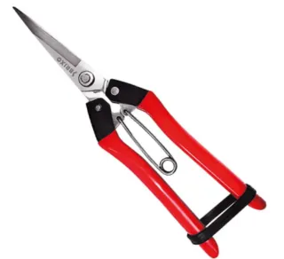 Tijera de podar 1 mano Inox