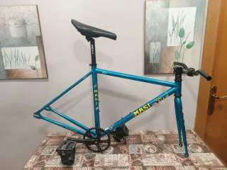 Cuadro Masi Fixed