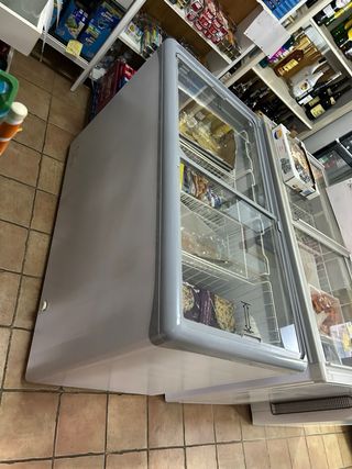 2 Congeladores Tienda Cierre