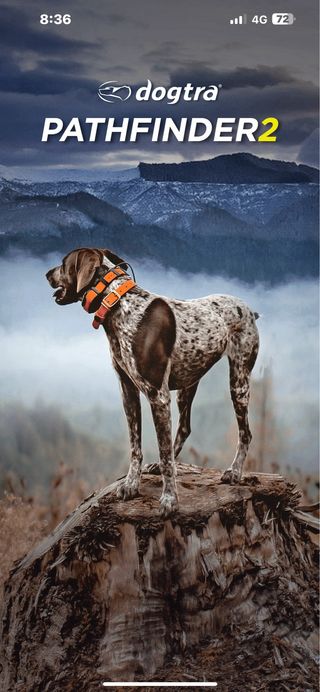 Collar GPS Localizador Caza Adiestramiento