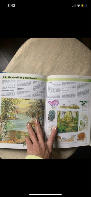 Saber, Saber, Júnior