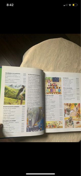 Saber, Saber, Júnior