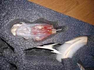 Goku Namek White Hole Figura Recast 1/6