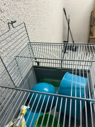 Jaula Hámster Completa Gris/Azul